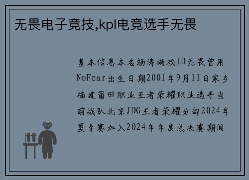 无畏电子竞技,kpl电竞选手无畏