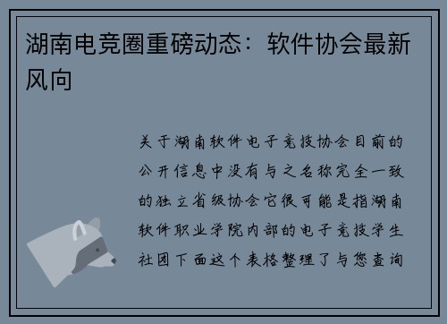 湖南电竞圈重磅动态：软件协会最新风向