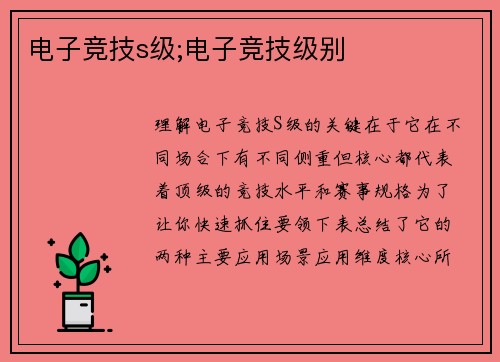 电子竞技s级;电子竞技级别